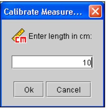 Calibrate Measurement dialog