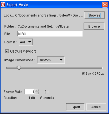 Export Movie