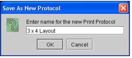 Save as New Protocol dialog