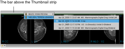 The bar above the Thumbnail strip