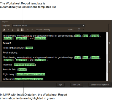 MMR Worksheet Report