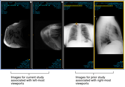 Viewports associated with current and prior studies