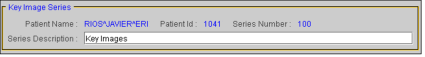Series Description field