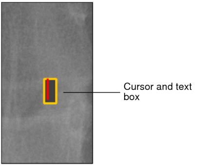 Cursor and text box