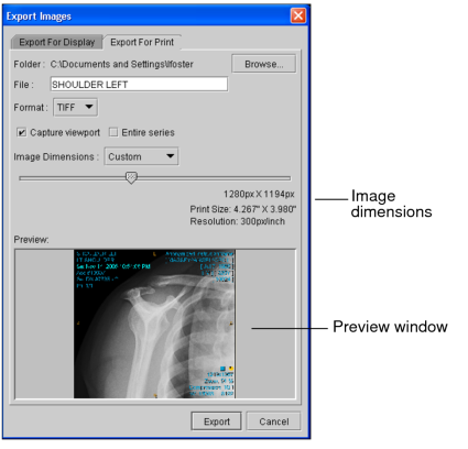 Export Images for Print or for Display