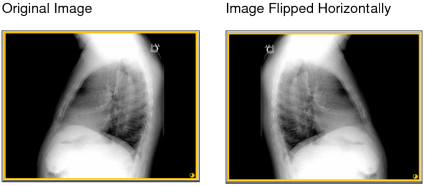 Flipped image horizontally