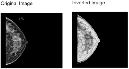 Inverted image