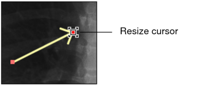 Resize cursor