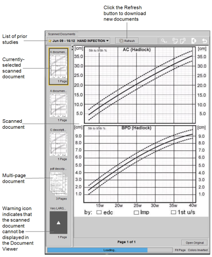 Document Viewer