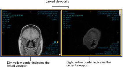 Linked viewports